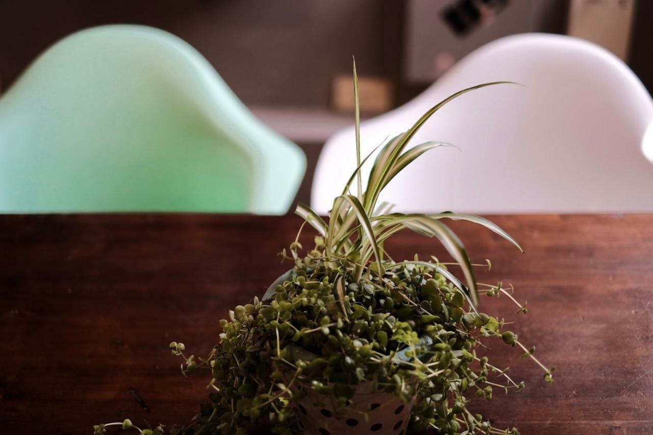 Leonidas Design Loft Mendoza Dış mekan fotoğraf